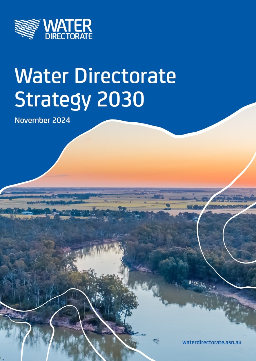 WDStrategy2030cover